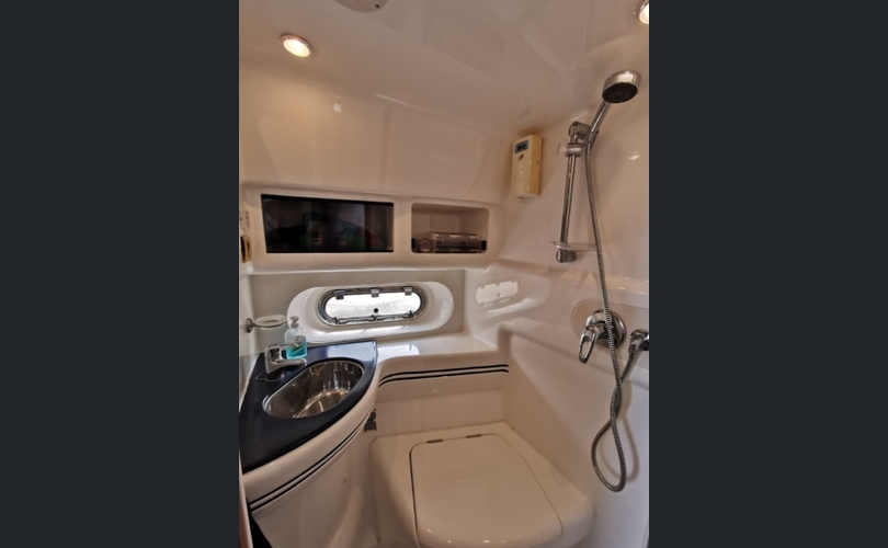 Sealine F43 YERO-kuva-6